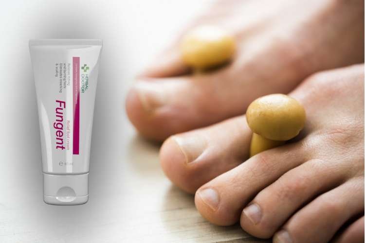 Explore fungent na grzybice cena